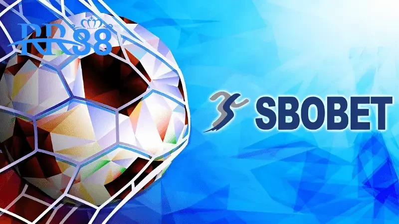 Thế giới cá cược thể thao với trải nghiệm hấp dẫn